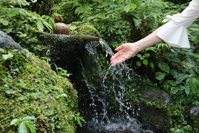 何百年も枯れることなく流れる湧水(新潟県長岡市　杜々の森名水公園)